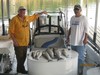 (10/24/2014) - Nice Striped Bass
